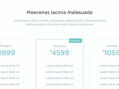 Pricing Packages columns packages popular pricing ui web