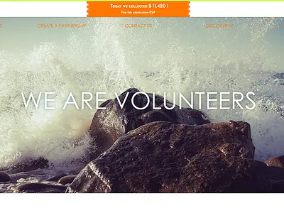 QUOKKA Creative concept conceptdesign illustration quokka volunteer webdesign