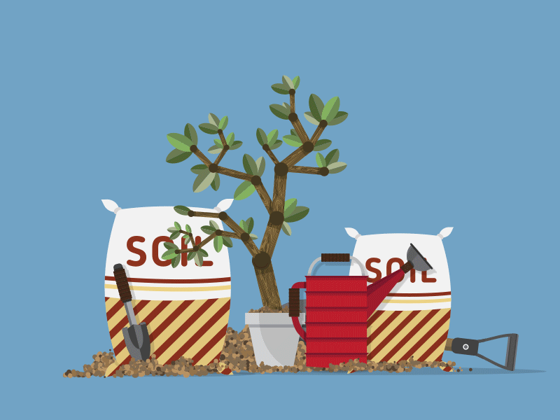 Double Bag It 2d after effects animation fertilizer flat gif kentucky motion graphics plant shovel soil tree