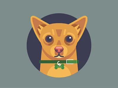 Paco chihuahua dog illustration office dog tremendousness winter weight