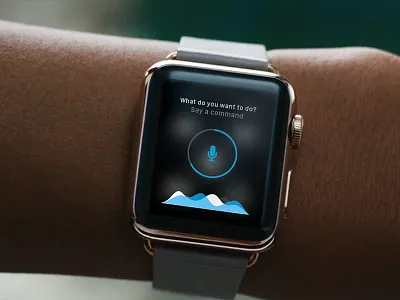 Gopro Voice Command apple watch concept ui ux