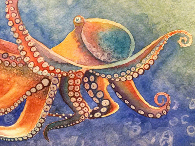 Completed octopus octopus painting watercolor