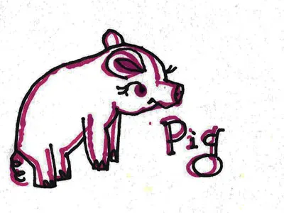 Pig