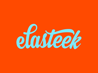 Elasteek v4