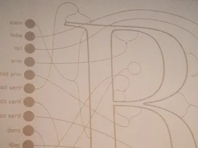 Ornament information laser ornamentation typography