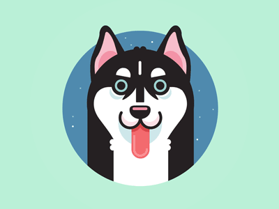 Meteor animal dog gif husky illustration meteor sky