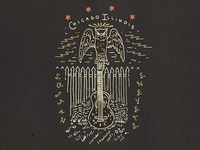 Sufjan Stevens Poster chicago guitar handmade illustration music owl type