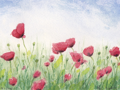 Field of Poppies anzac australia gallipoli illustration poppies watercolor