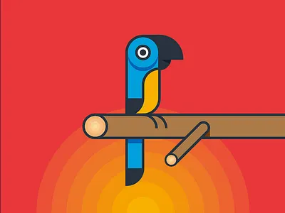 Parrrot bird macaw parrot sunset tree
