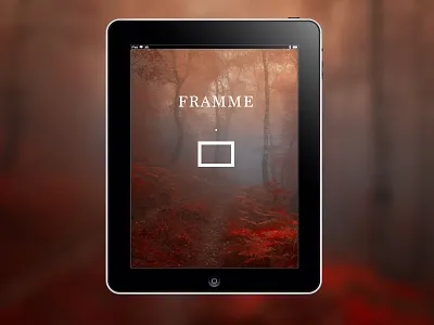 Framme art ipad photo