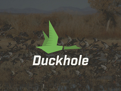 Duckhole branding duck flying green identity logo mallard outdoors