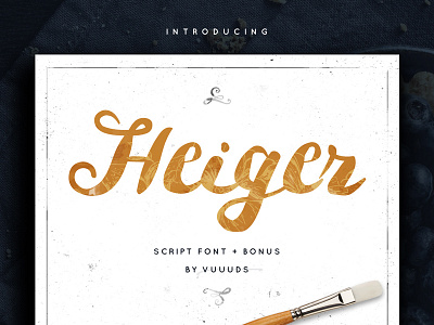 Heiger Script brand brush classic curls font heiger otf script swirls ttf vector