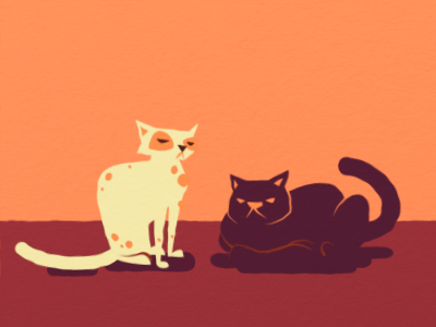 Because the internet needs more cats animation design illustration