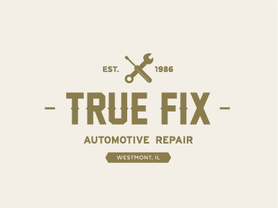 True Fix Visual Identity branding graphic design identity logo logo design typography