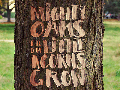 Mighty oaks hand lettering hand lettering typography illustration textures