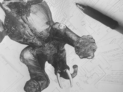 Falling elephant animal biro cover detailed drawing elephant feet illustration realistic sketch skin structure