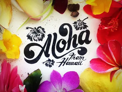 Aloha! aloha design by diamond forever designed lettering nicholas damico typography