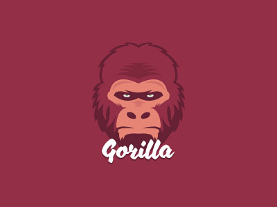 Gorilla gorilla