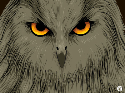 Grumpy Owl animal birds brandnew cute evil grumpy illustration owl vector