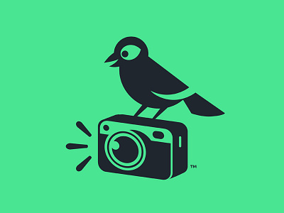 Chirp Aerial aerial bird camera logo photo photography