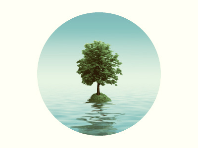 Tree sky tree vector water