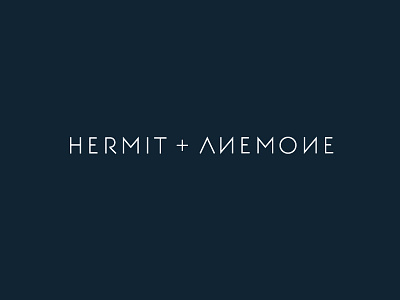 Hermit & Anemone Discarded Logo Design blue concept contemporary design fashion logo minimal modern sans serif simple type wordmark