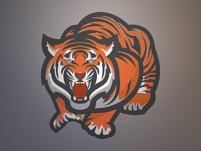 Crouching Tiger branding clemson identity sports branding sports identity sports logo tiger