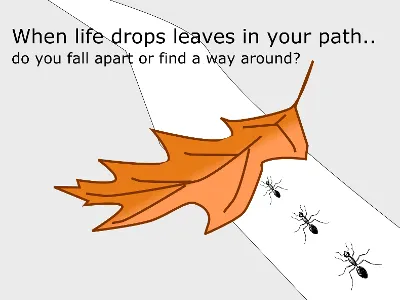 Leaf problems critical thinking