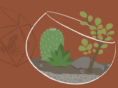 Open Terrarium Illustration cactus illustration succulent terrarium