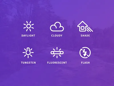 Photography Icons camera cloudy daylight flash fluorescent icons photography shade tungsten
