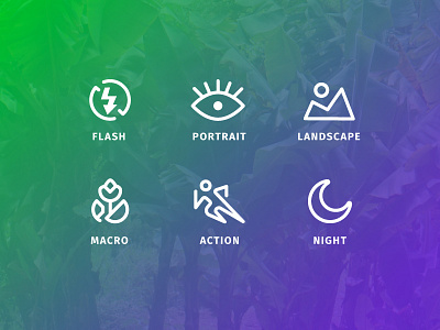 Photography Icons Continued action camera flash icons landscape macro night photography portrait