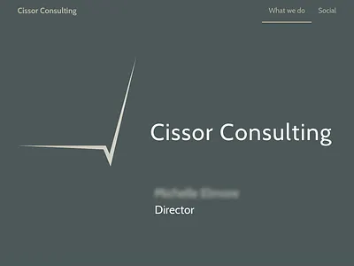 Cissor Consulting holding page one page
