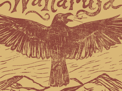 Wakarusa Crow bird crow festival mountains music wakarusa