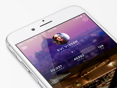 Berlin Project Part 1 | Profile berlin blurred dashboard ui