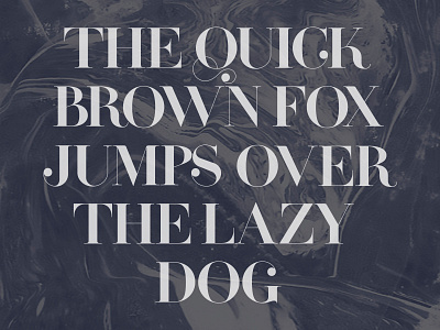 Oh Boi - Typeface caps fashion font font design oh boi serif type wip