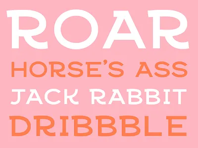 Jack Rabbit bar dribbble horse jack rabbit letters old school pub retro saloon typeface typography
