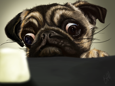 The Marshmallow Test animals digital painting dog eyes food fur illustration marshmallow painting photoshop pug