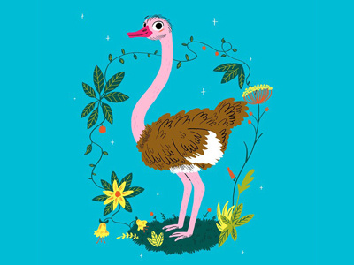 fancy ostrich animals app book character children illustration ostrich