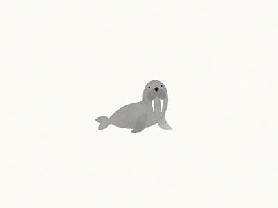 Walrus animals illustration walrus