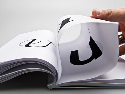 100days - studiogoeddertz book editorial typography