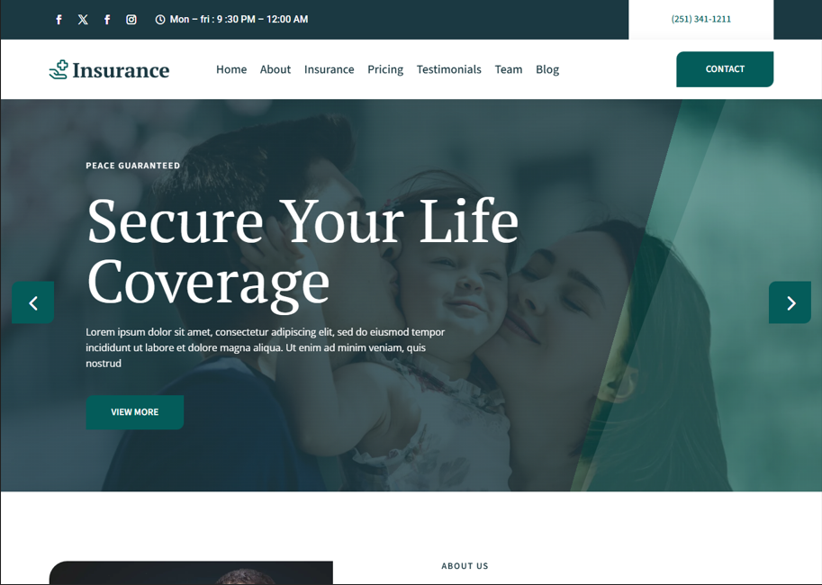 Example of Life Insurance Word Press Website