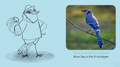 Sketch of a book character baseball bird blue jay character design children childrens book childrens illustration digital illustration illustration jay kids nature sketches sports