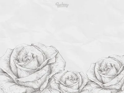 Floral blank card adobe floral flower free illustrator rose vector