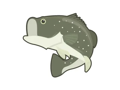 All about that bass fish illustration
