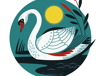 Swan Song 4 color birds illustration