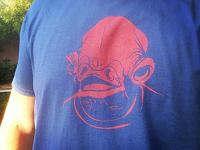 It's a Shirt!