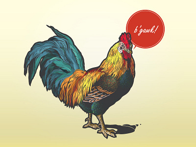 B'Gawk feathers graphic design illustration rooster vector