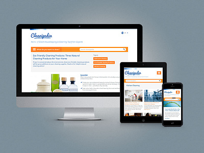 Cleanipedia devices mobile responsive ui