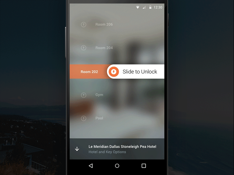 Open Door android animation gif ui