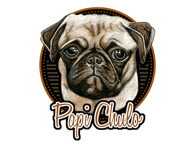 Papi Chulo dog drawing pug sad